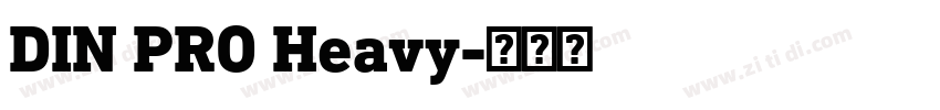 DIN PRO Heavy字体转换